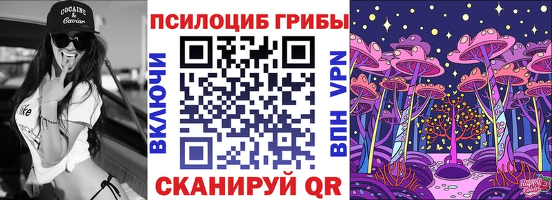 Псилоцибиновые грибы мицелий  Гаврилов-Ям 
